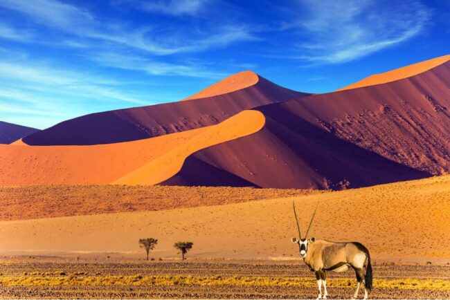 Namibia: Land der roten Stille