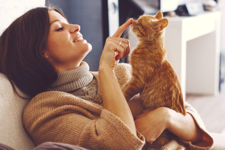 Haustiere: Den passenden tierischen Begleiter finden