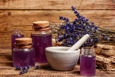 Lavendel: Alles über den duftenden Tausendsassa