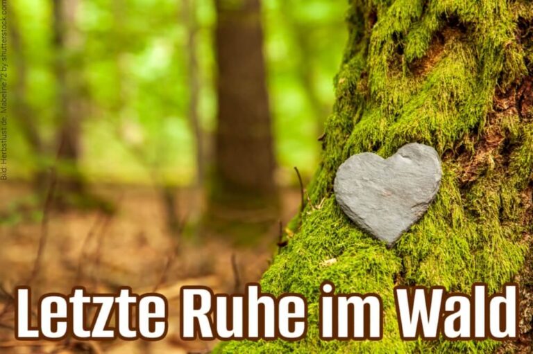 FriedWald: Vor- und Nachteile, Kosten + Standorte