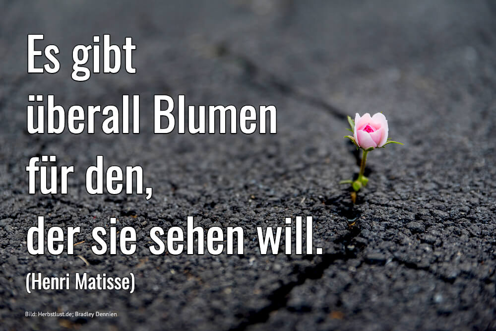 Positiver Spruch Es Gibt Überall Blumen