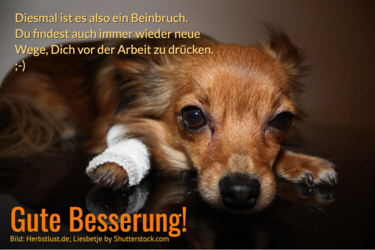 Genesungswunsch Beinbruch Gute Besserung Herbstlust.de