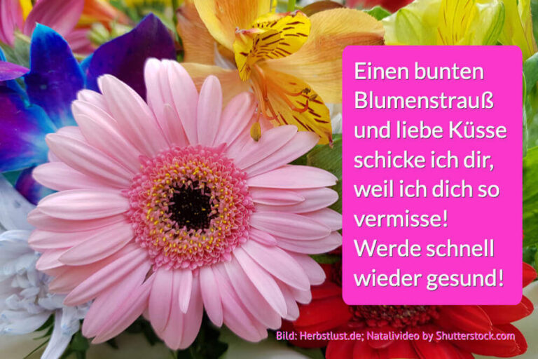 Genesungswunsch Blumenstrauss Und Kuesse Gute Besserung | Herbstlust.de