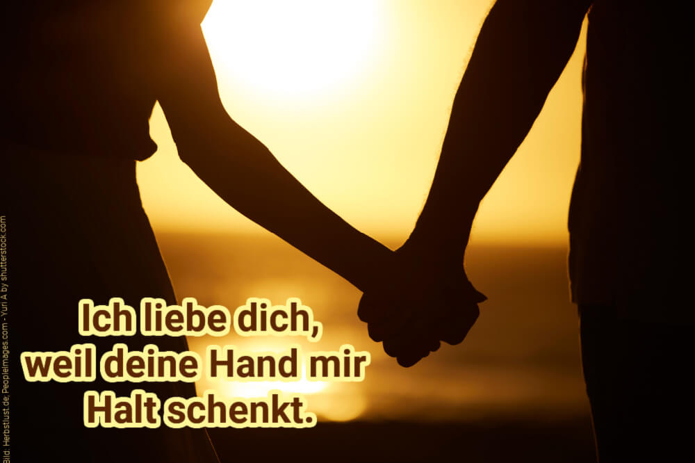 Ich liebe dich, weil... 171 Gründe für Ihre Liebeserklärung